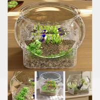 Pecera redonda Ultra transparente, tanque de visualización extraíble de plástico, decoración decorativa de escritorio con vista de 360 grados, pequeño acuario, decoración de escritorio - details 10