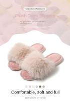 Zapatillas de felpa para interiores esponjosas europeas y americanas para mujer, zapatos de invierno con punta redonda abierta y transfronteriza para niñas en casa - details 0