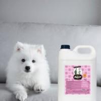 champú perro sin sal