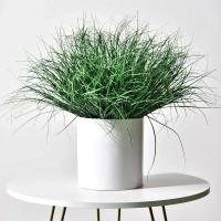 Decoración del hogar de hierba pequeña simulada para decorar pastizales, cañas, cebollas y plantas verdes falsas. - details 0