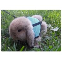 Correa y Arneso Suave Ajustable para Mascotas Pequeñas Vestido Respirable para Conejos, Ferretas, Cobayas Suministros para Mascotas - details 7