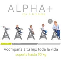 Set de Tronas de Bebé Evolutivas con Bandeja y Cojín de 2 Piezas |   Trona de madera regulable |   Silla Alta para Niños desde 6 Meses con Accesorios - details 33