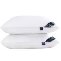 Almohadas (2 Unidades), Almohadas de Primera, Fibra Hueca Virgen Siliconada, Almohadas Suaves de Fácil Cuidado (Blanco) - details 0