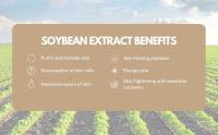 Soybean Serum