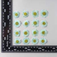 Juego de 12 Uds. De flores secas naturales de 2,5-4cm para rellenos de funda de teléfono DIY, flor de crisantemo de cristal prensado, decoraciones artísticas para uñas - details 19