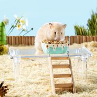 Plataforma transparente para hámster, soporte desmontable de altura ajustable para paisajismo, jaula decorativa para mascotas - details 1