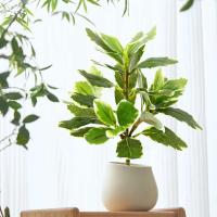 Plantas Artificiales de Tropico Pinos Banyan Falsos para Decoración de Jardín en Casa - details 7