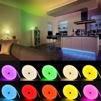 Tira de luces LED de neón, cinta Flexible de silicona, 12V, 16,4 pies/5M, para cocina, interior y exterior - details 0