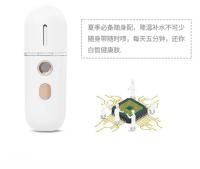 Mini vaporizador Facial Nano vaporizador hidratante niebla Facial Humidificador de pulverización fría Humidificador de belleza portátil USB - details 15