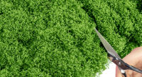 150g Musgo Artificial, Musgo Artificial Decorar