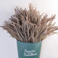Rama de pino Artificial hecha a mano, corona artesanal, regalos, árbol de pino Artificial hecho a mano, plantas verdes falsas elegantes realistas - details 6