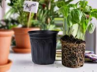 Macetas negras de plástico para guardería con orificios de drenaje, bandejas para té utilizadas para plantas, flores y verduras de jardinería - details 5