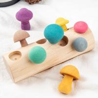 Bloques de arcoíris de madera, juego de colección de juegos, Montessori, juguetes educativos para bebés, forma de desarrollo - details 5