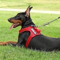 Juego y correa perros de servicio con 1 cuenco plegable, chaleco reflectante ustable perros, arnés Oxford suave para mascotas - details 4