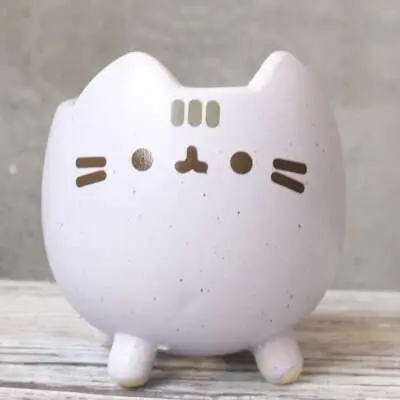 ETA i ued para un agujero de planta jugoso, macizo de flores con un hermoso animal, lindo gato, decoración de jardín, bonai ETA, cumpleaños - 1