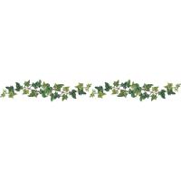 Pegatinas de Pared de Enredaderas de Plantas Verdes Frescas Autoadhesivas Decoración de Pared para Dormitorio Sala de Estar Paisajismo - details 9