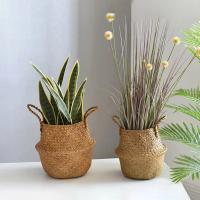 Cestas de almacenamiento Naturales de algas marinas, maceta de flores de estilo nórdico, cesta de plantas, bolsa de cultivo tejida de paja, maceta colgante, decoración del hogar - details 17