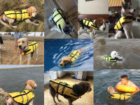 HOOPET-Chaleco salvavidas para mascota, chaqueta transpirable de seguridad para perros, ropa de surf, de baño para nadar en vacaciones, chaquetilla para bulldog francés para verano, Oxford - details 6