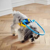 Collar Anticolisión para Mascotas Ayuda de Entrenamiento para Perros Adecuado para Perros Pequeños y Grandes Collares de Gato - details 3