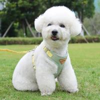 Conjunto de Correa de arnés para cachorros Correa de pecho transpirable para perros y gatos - details 20