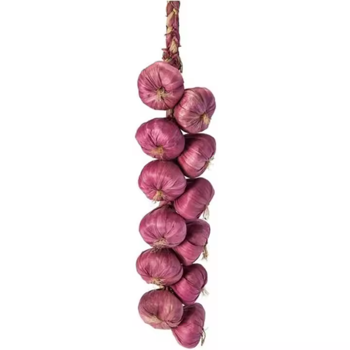 Decoración de Pared de Cebolla Artificial Colgante de Frutas Simuladas - 1