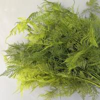 Ramas de plantas de helecho artificiales grandes, tacto Real, hojas de helecho de Boston hechas a mano, helecho de espárragos Artificial elegante realista - details 16