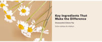 Key ingredient