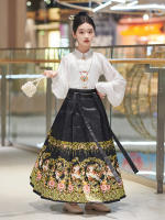 Hanfu para niñas, estilo chino, disfraz Tang para niños con cara de caballo estilo Ming, falda de hada, primavera y otoño, antiguo para niñas - details 1