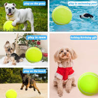 Pelota de tenis gigante para perro, juguete interactivo para masticar, inflable grande pelota de tenis, suministros para mascotas, juguetes para perros de grillo al aire libre, 24CM - details 4