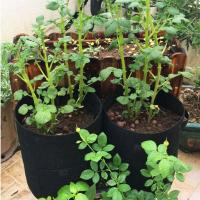 Bolsa para cultivo de plantas, tela no tejida duradera, patatas fritas, jardinería, transpirable, duradera, resistente al viento y a la lluvia, 5 - details 2