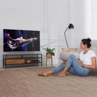 Soporte de Pared para TV con Brazo Artículo Extra Largo de 850mm Giratorio e Inclinable - details 8