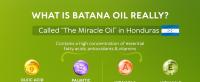 what is batana oil for hair growth really?