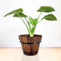 Cubo redondo de madera, éter de flores campestres, recipiente para agua, decoración de jardín y patio trasero, 18cm 15cm x 14cm, 1 pieza. - details 2