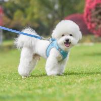 Juego de arnés correa Pincher caminar al aire libre, perros pequeños y medianos, chaleco para mascotas, arneses, accesorios - details 7