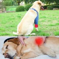 Práctica funda de recuperación para perros transpirable, envoltura de codo suave de algodón para cachorros, Protector de codo ajustable antilamer para perros, pata delantera - details 7