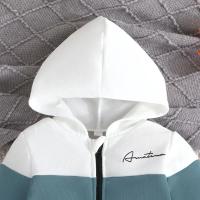 Traje De Niño Colorblock 2-7 Años Abrigo Con Capucha Camiseta De Manga Larga Y Pantalones Outerwear Moda Infantil - details 3