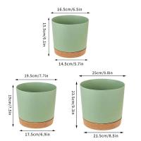 ETA interior circular grande de plástico para plantas jugosas, bonsái eterno con bandeja de drenaje, decoración del hogar y jardín - details 4