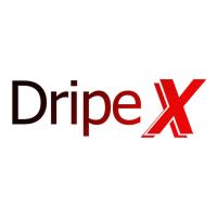 Dripex - Sofá de 2 plazas