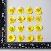 Juego de 12 Uds. De flores secas naturales de 2,5-4cm para rellenos de funda de teléfono DIY, flor de crisantemo de cristal prensado, decoraciones artísticas para uñas - details 9