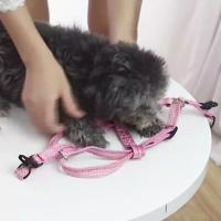 Conjunto de arnés y correa ajustables para perros, correa suave para el pecho para mascotas a prueba de Escape, Collar ligero y cómodo para gatos, correa para cachorros - details 6