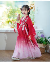 Hanfu primavera y otoño vestido elegante antiguo súper inmortal para niñas pequeñas falda de bata de estilo chino Tang para niños - details 5