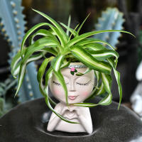 Amor europeo transfronterizo chica medio cuerpo suculenta planta verde maceta almacenamiento en el hogar patio jardín decoración de alta gama - details 12