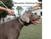 Truelove-Correa de Entrenamiento para mascotas, Collar combinado, Retriever, TLL2575 - details 1