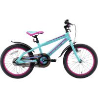 Bicicleta Infantil de Montaña 18 Pulgadas con Frenos para Niños y Niñas Desde Edad 5 - details 1