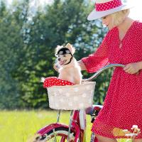 ATUBAN Small Pet Dog Helmet with Ear Hole Motorcycle Dog Helmet Multi-Sport Dog Hard Hat Outdoor Bike Doggy Cap for Dogs and Cat - details 5
