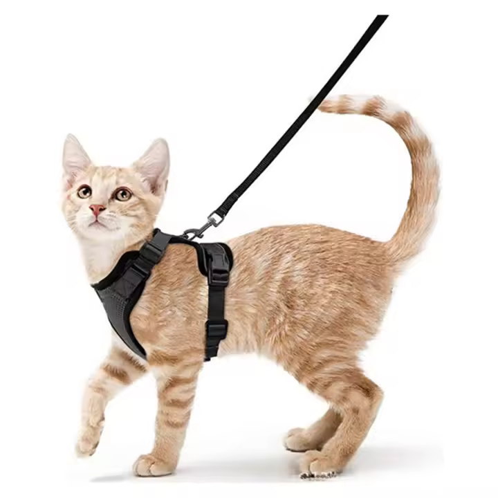Arnes para Gatos Antiescapismo con Correa Arnés Ajustable Reflectante para Pasear y Entrenar, Talla XS, Negro - 1