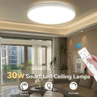 Lámpara de techo de Alta luminosidad para Decoración de interiores plafón Led para dormitorio salón Luz impermeable RGB - details 0