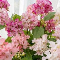 Flores de hortensias artificiales de lujo, rama de flores de hortensias de plástico realista, flor falsa elegante, decoración para sala de estar - details 2
