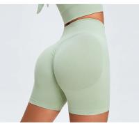 Shorts de Yoga de Cintura Alta y Ajuste Estrito Material de Nylon Secado Rápido - details 11