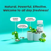 Suplemento de desodorante interno DEOS – Desodorante de cuerpo completo para la salud intestinal, la salud de la piel, apoyo a la desintoxicación y la digestión – Pastillas de clorofila con control natural de olores para una frescura de la cabeza a los pi - details 4